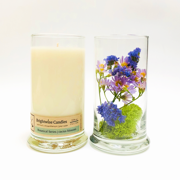 Cactus Blossom Scented Soy Wax Candle - Brightwise Candles