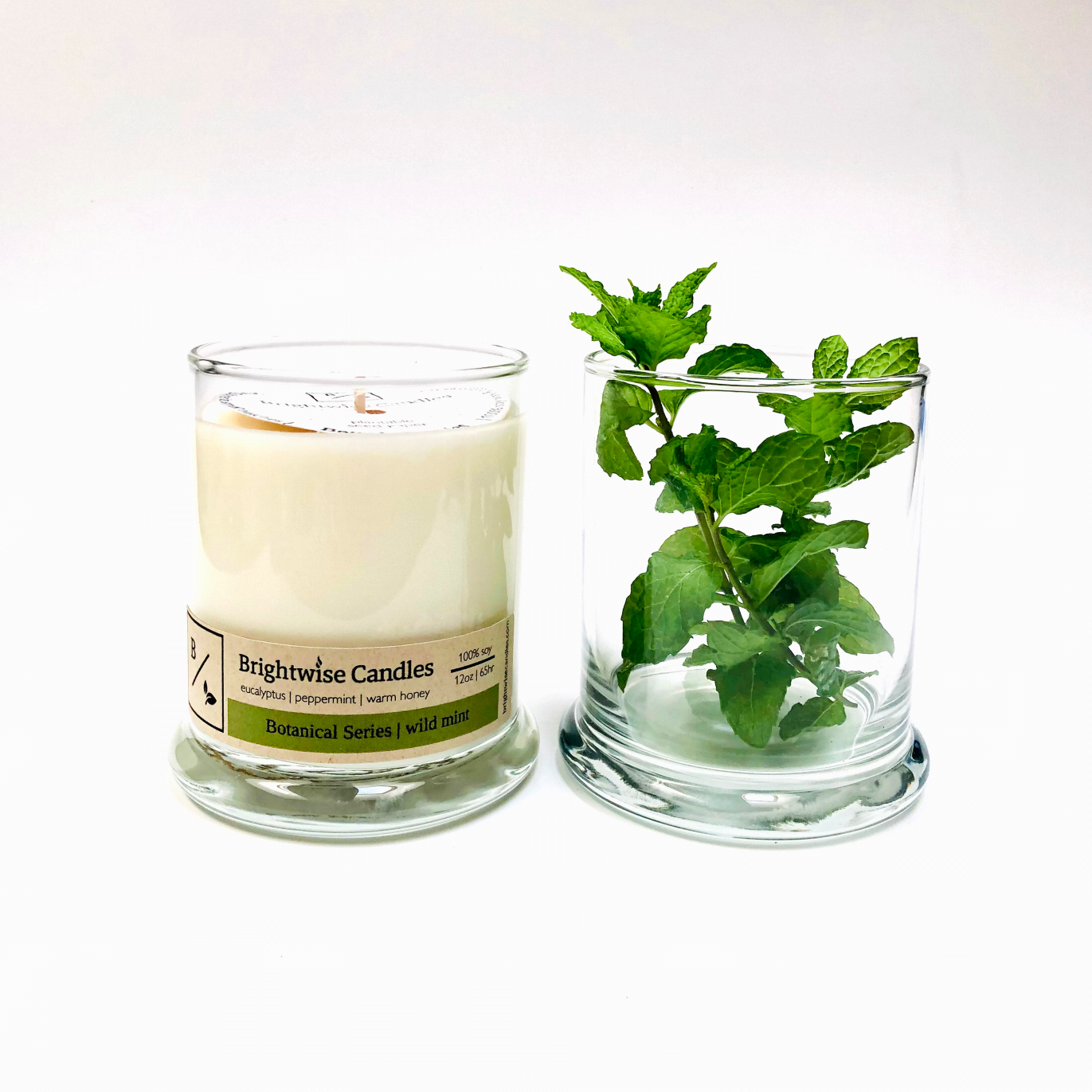 Wild Mint Scented Soy Wax Candle - Brightwise Candles